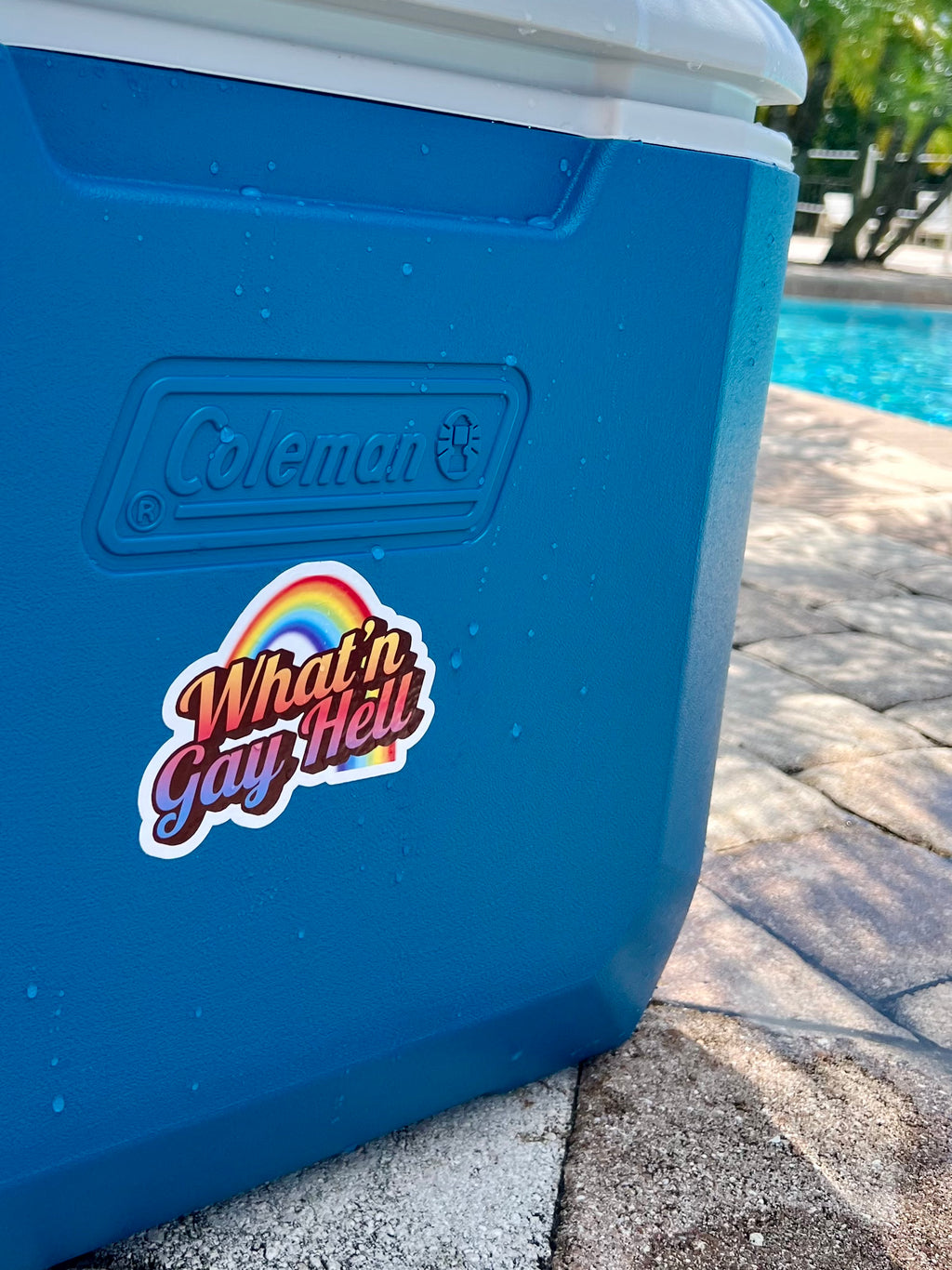 Sassy Rainbow Sticker
