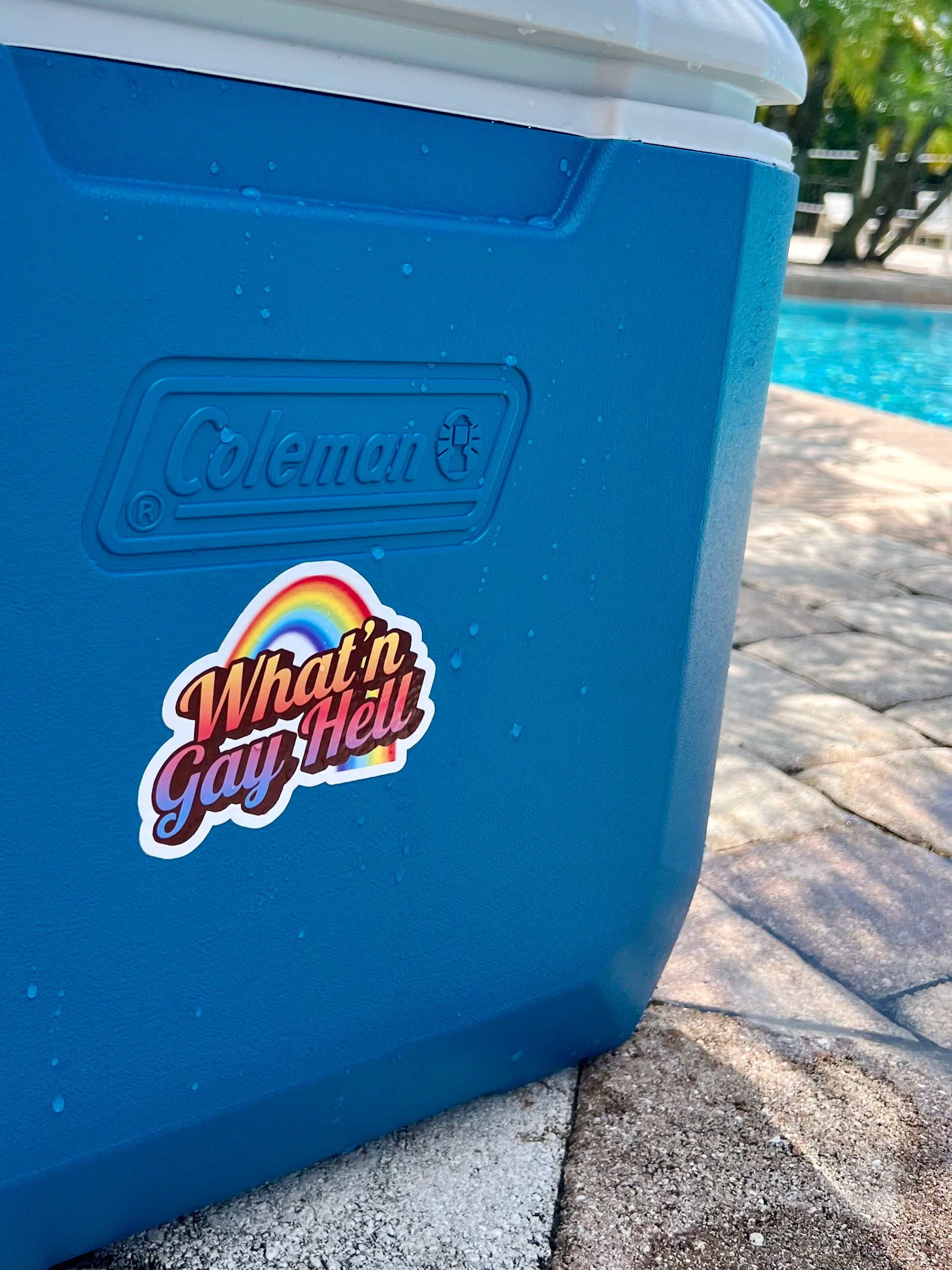 Sassy Rainbow Sticker